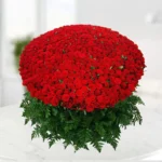 Signature 1000 Roses Bouquet